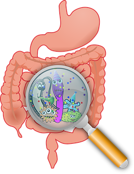 Ces choses surprenantes qui perturbent votre microbiote