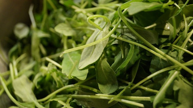 Salade de roquette et de fenouil