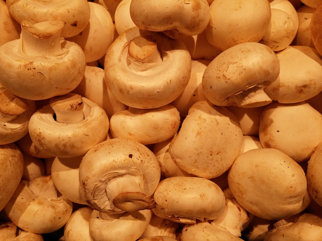 Ragoût de champignons et pois chiches