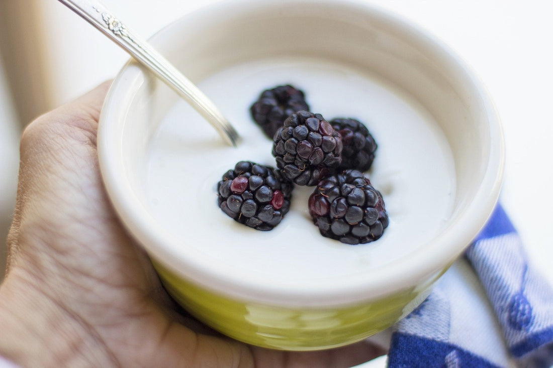 Yogourt au lait de noix de coco